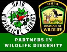 Ohio Biological Survey and Ohio Division of Wildlife: Partners in Wildlife Diversity